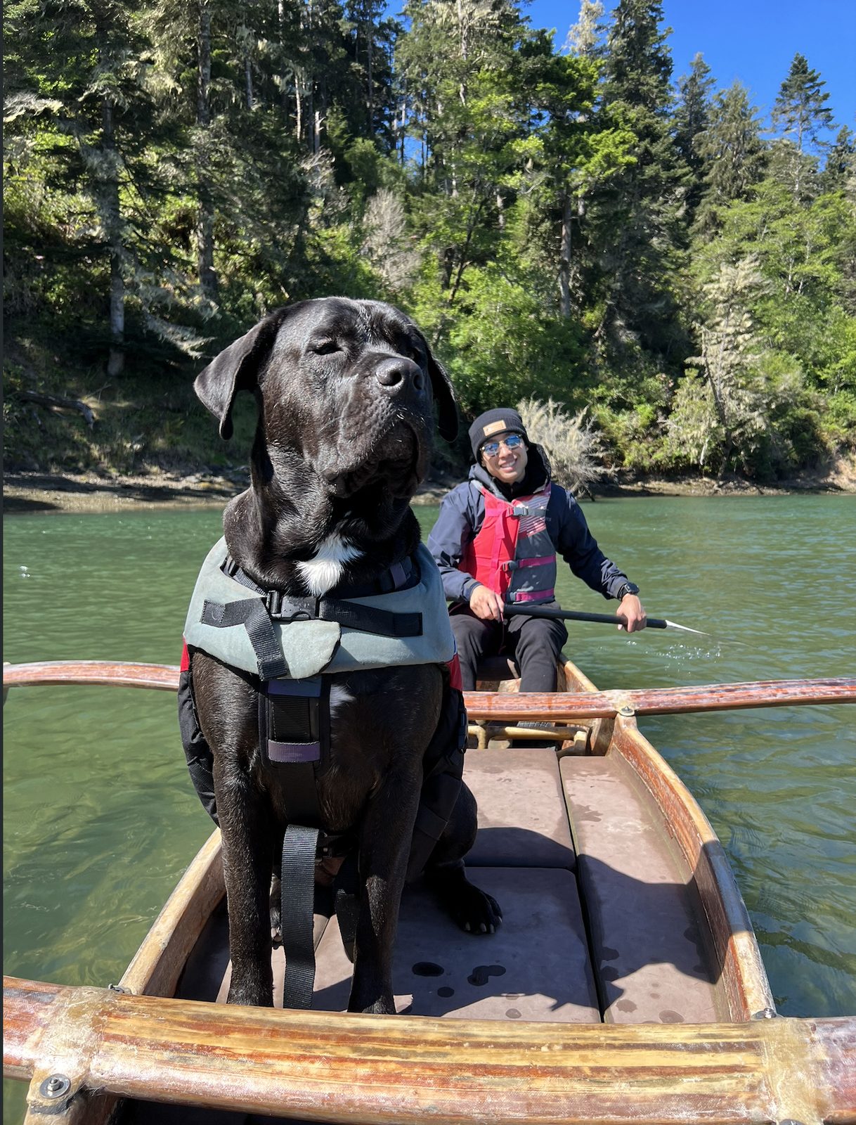 Dennis paddling a canoe with Nova, their Cane Corso, sitting in the bow