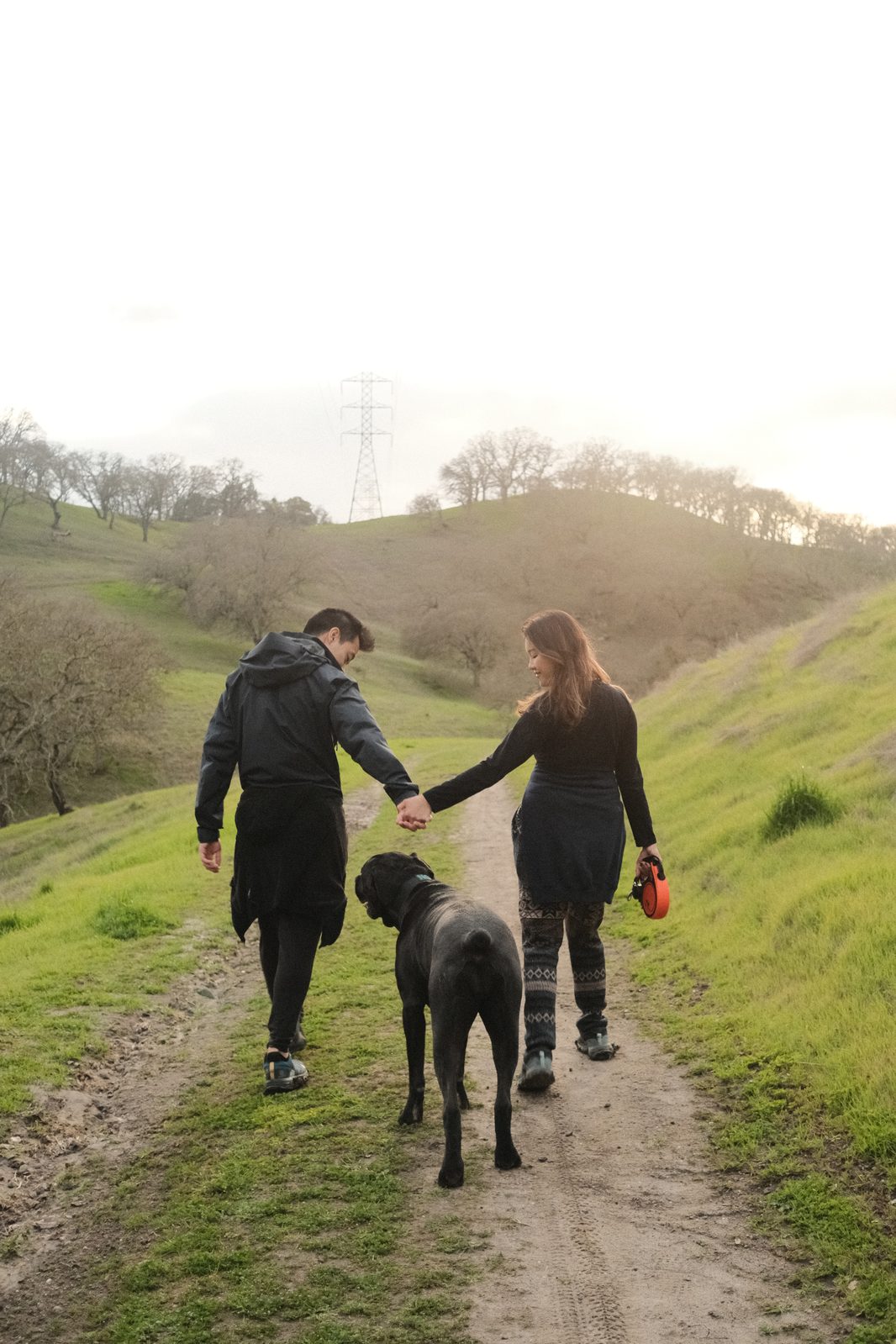 Dennis and Jasmine holding hands on a hilltop trail at sunset, walking with their Cane Corso Nova between them